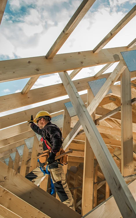 univers enchante de la construction en bois